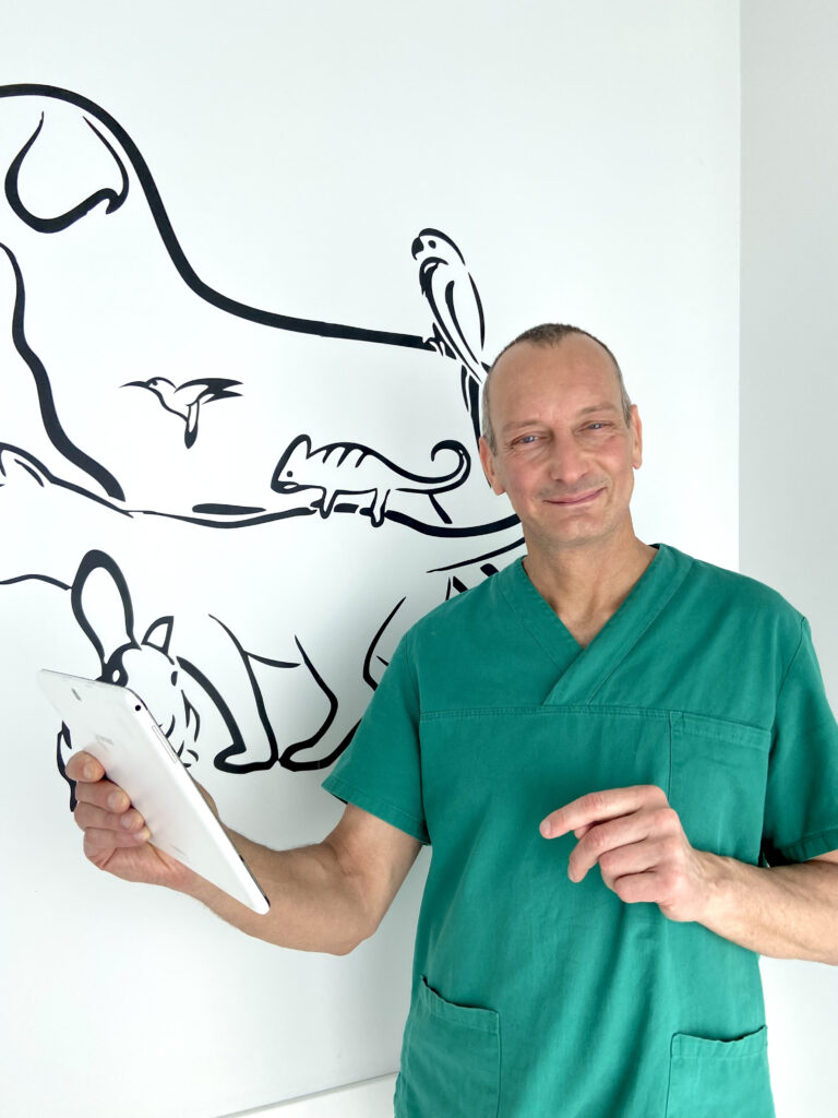 video consulenze veterinarie